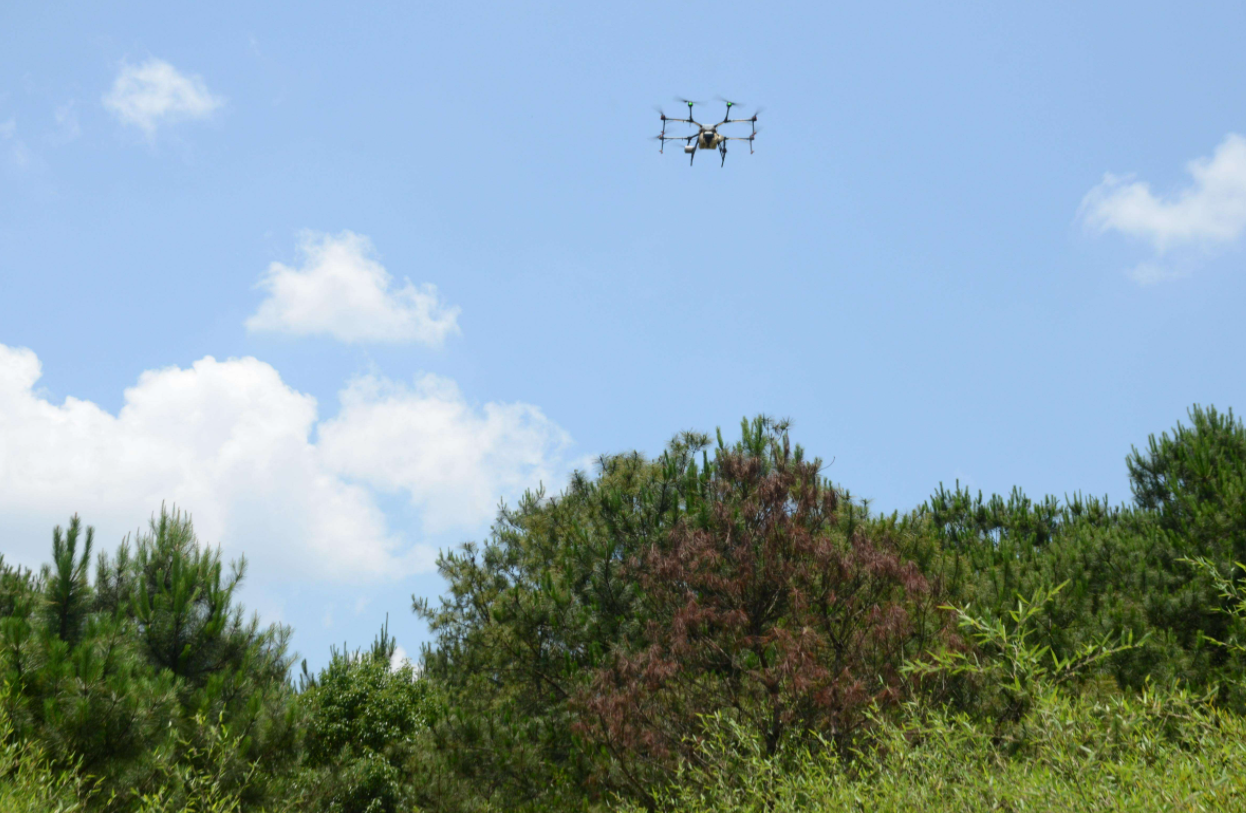 以蟲治蟲 三亞首用無人機釋放天敵防治害蟲護航綠色農(nóng)業(yè)(圖1) 以蟲治蟲 三亞首用無人機釋放天敵防治害蟲護航綠色農(nóng)業(yè)(圖1)